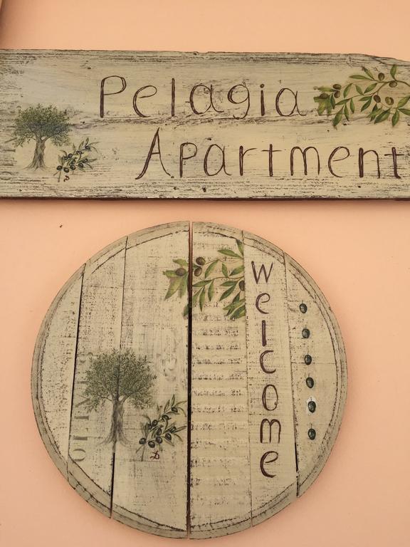 Pelagias Apartments Agia Efimia Rum bild